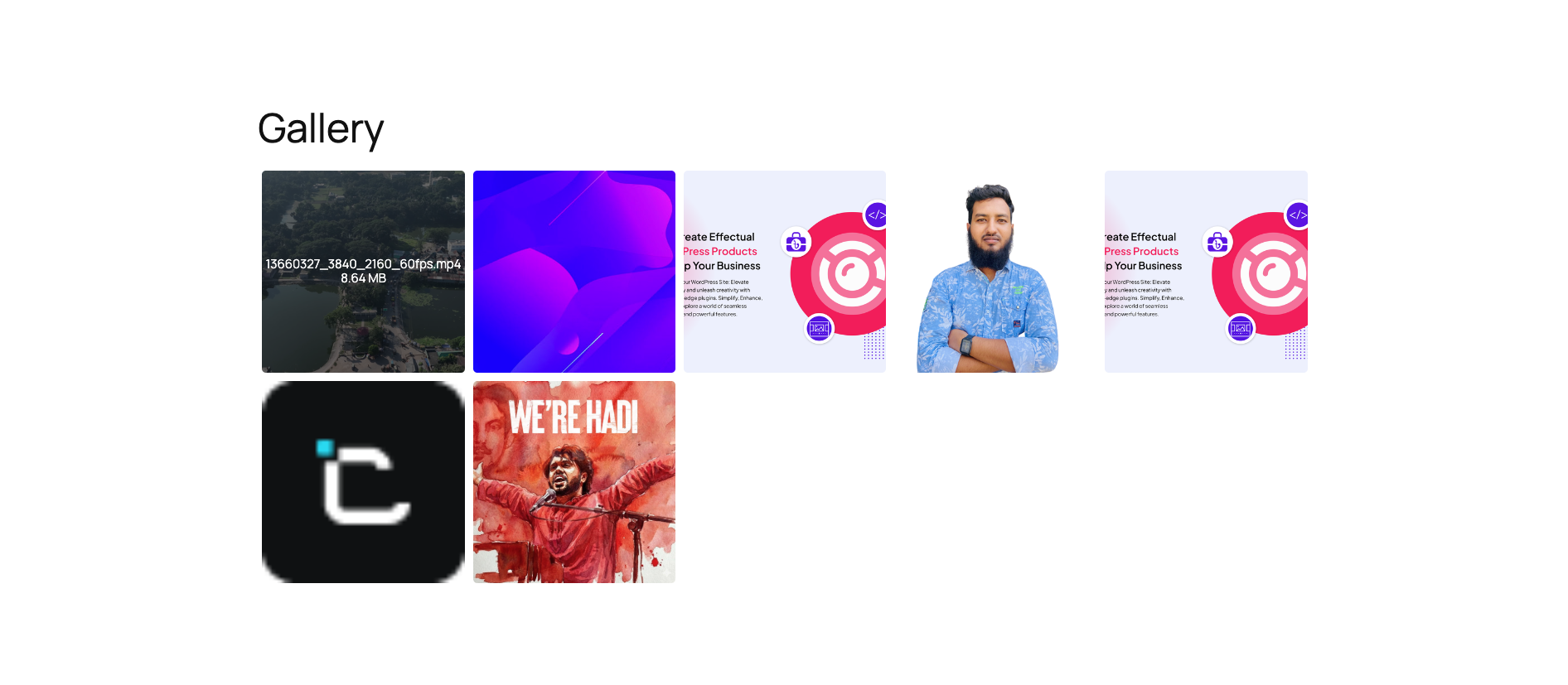 Easy Integration for Dropbox 5 Gallery